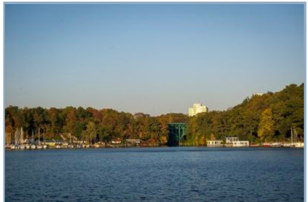 In the neighbourhood