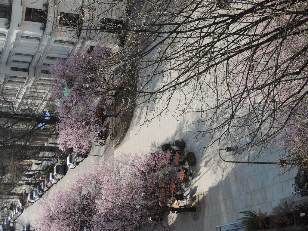 square in front of the house, view from the balcony