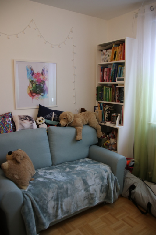 sofa can change into bed