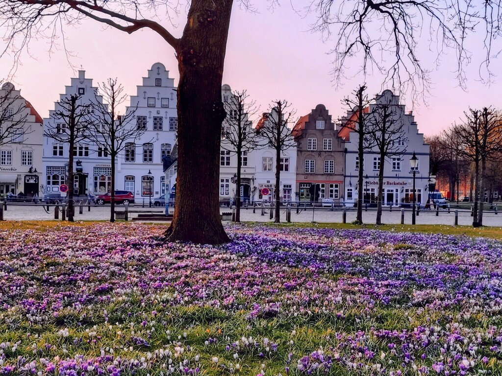 Friedrichstadt in Spring 