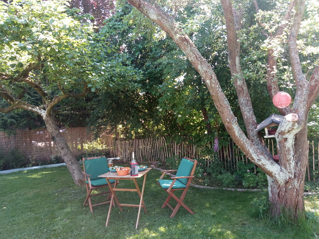 Garden - nice place under the trees