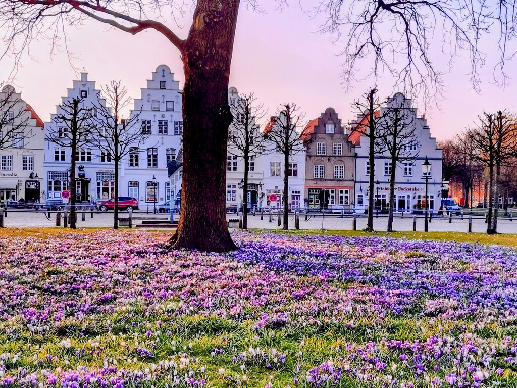 Friedrichstadt, Spring