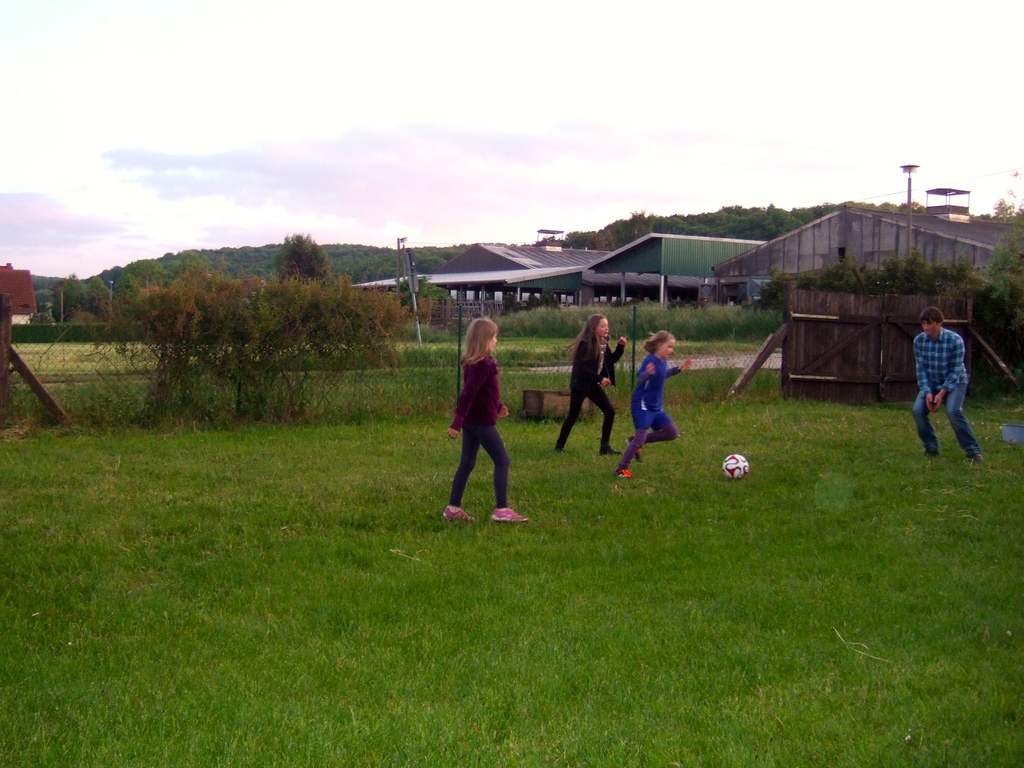 cowshed opposite the road