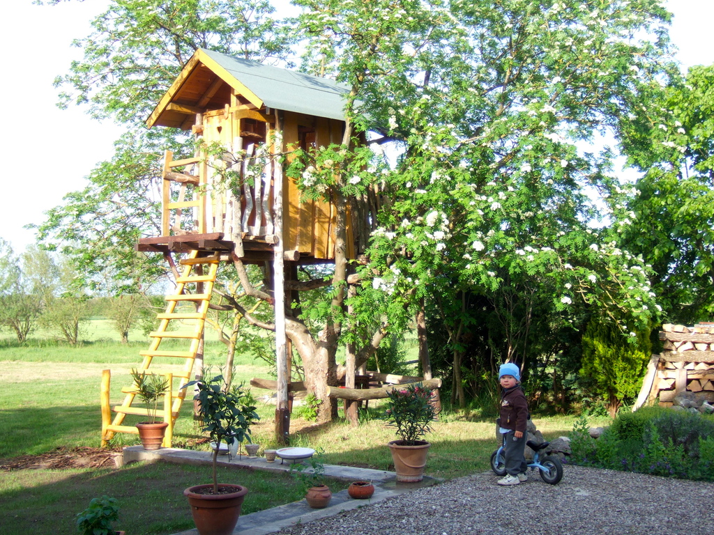tree house