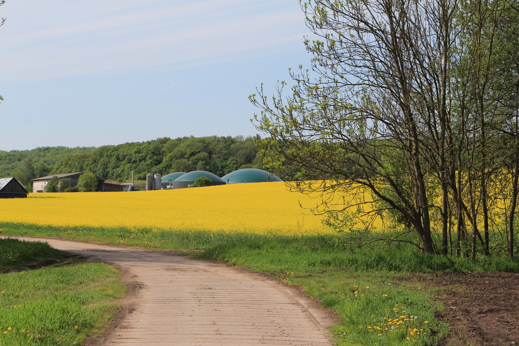 biogas plant behind the cowshed