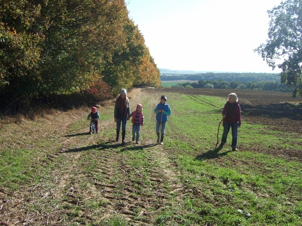 walk around zehnebeck forest