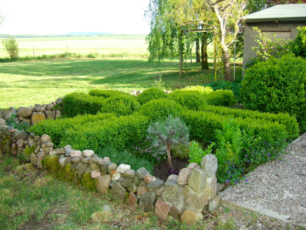 herb garden behind the house