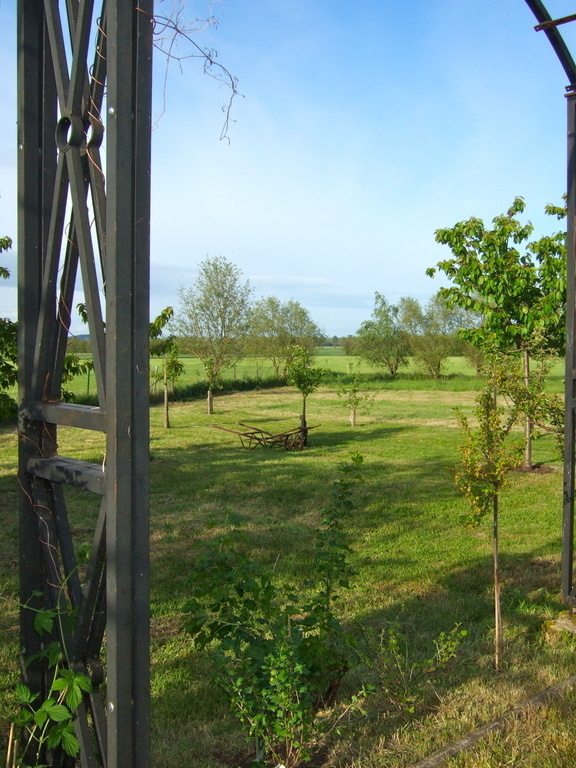 view from the garden