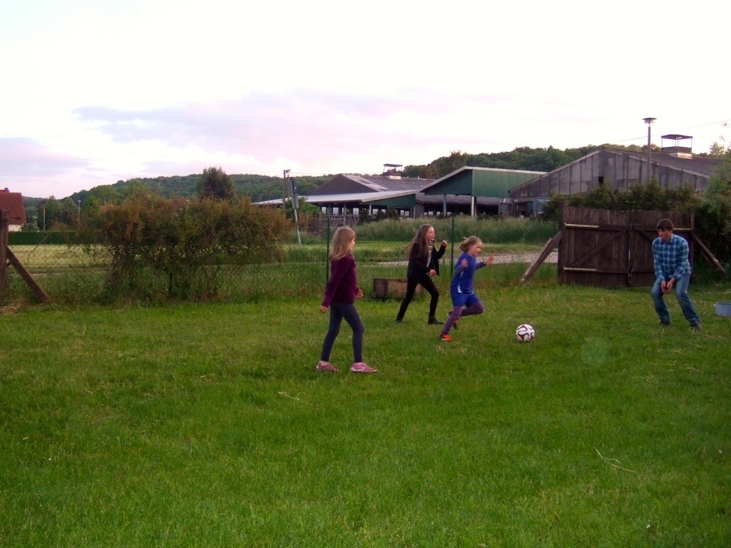 cowshed opposite the road
