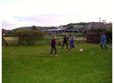cowshed opposite the road