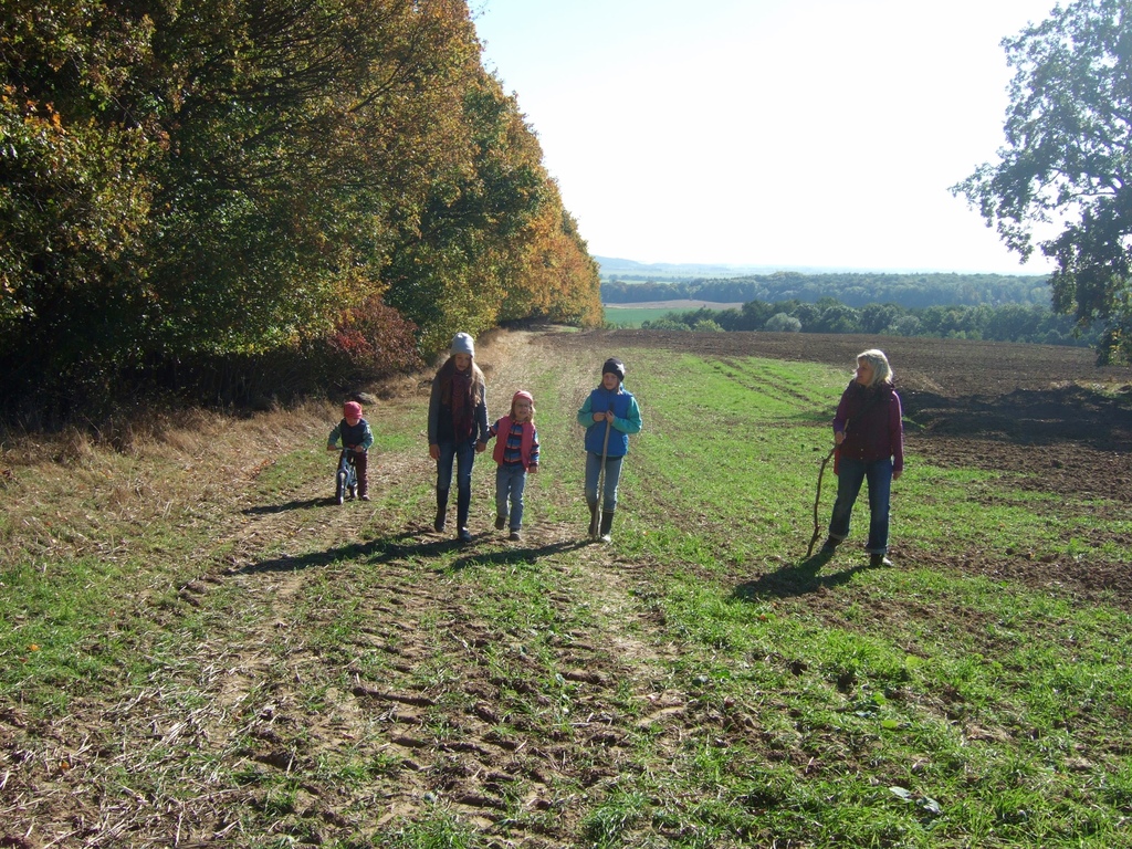 walk around zehnebeck forest
