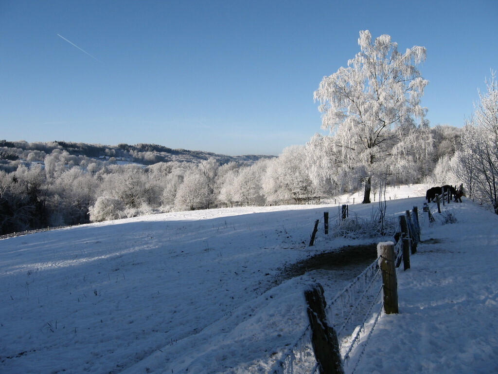 Tecklenburg landscace in winter