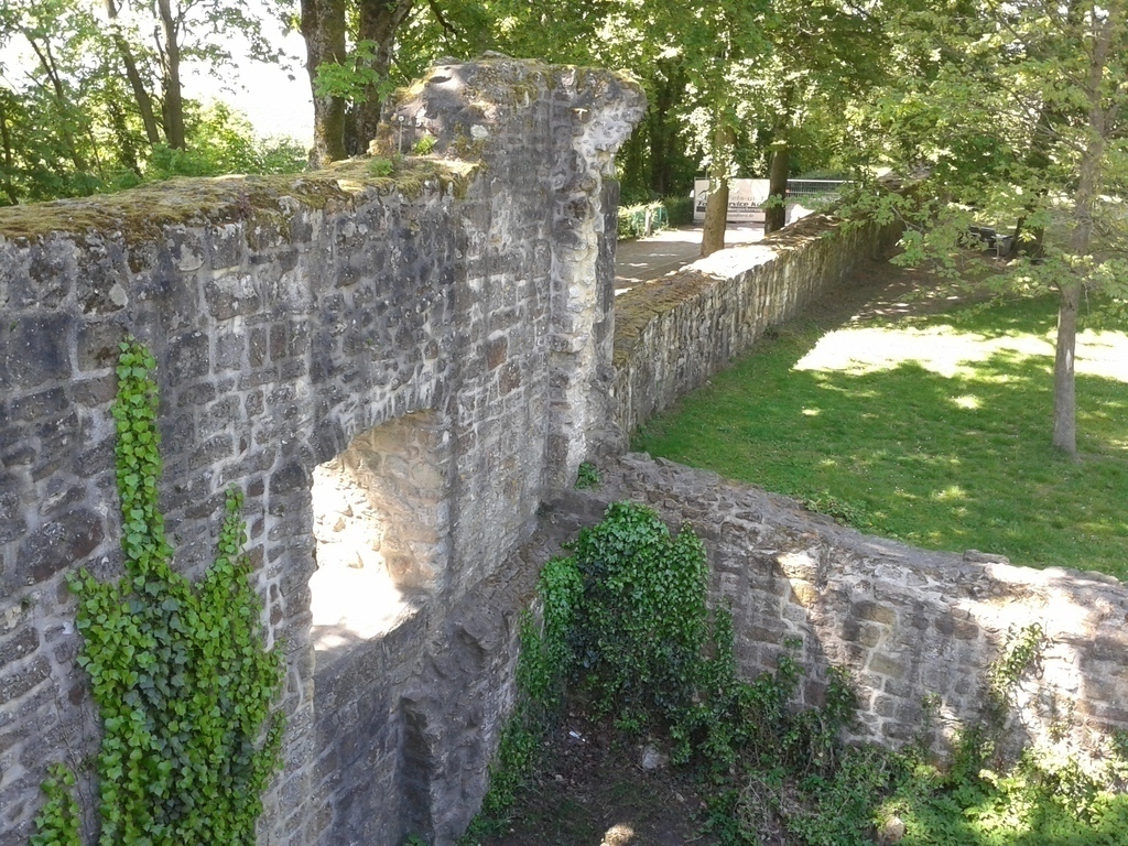 Burgruine Tecklenburg