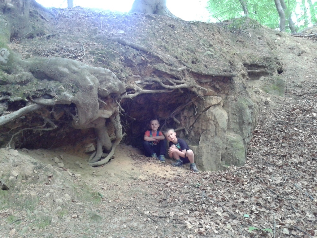 Wanderung im Teutoburger Wald/ Tecklenburg