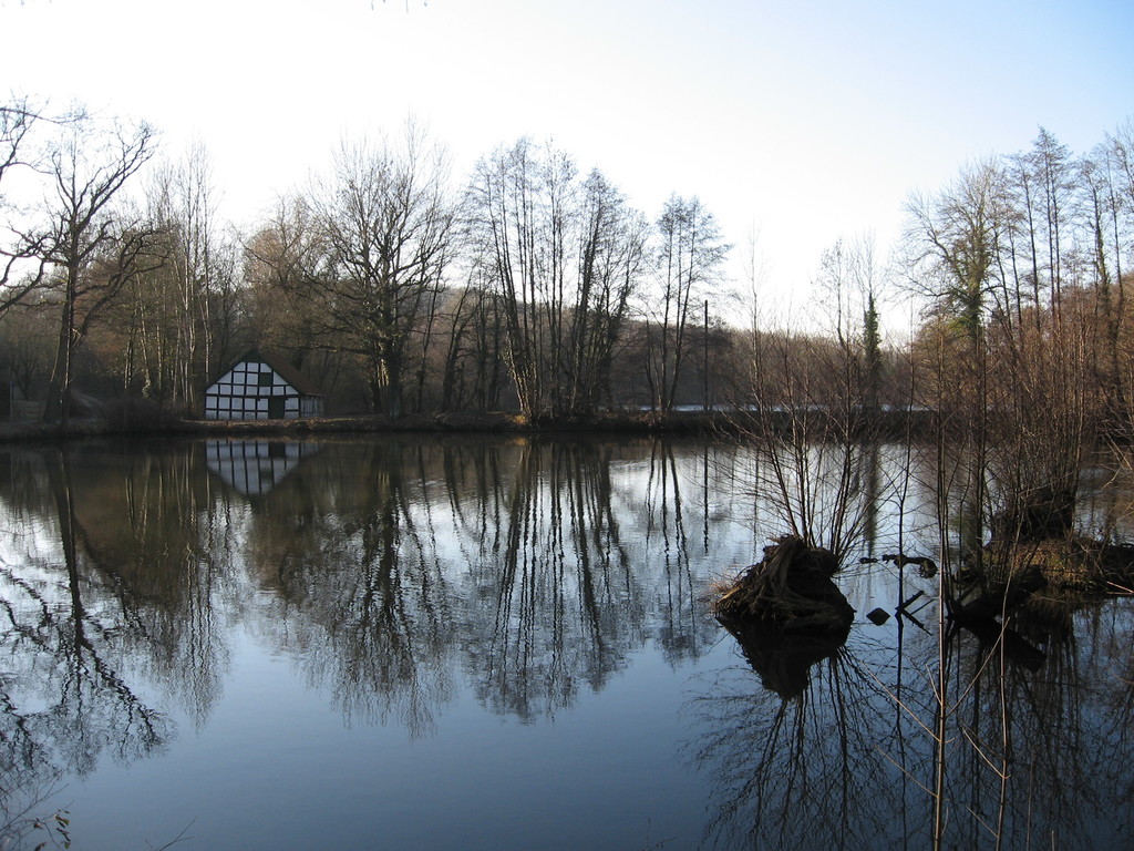 Fischteiche, lake in Tecklenburg