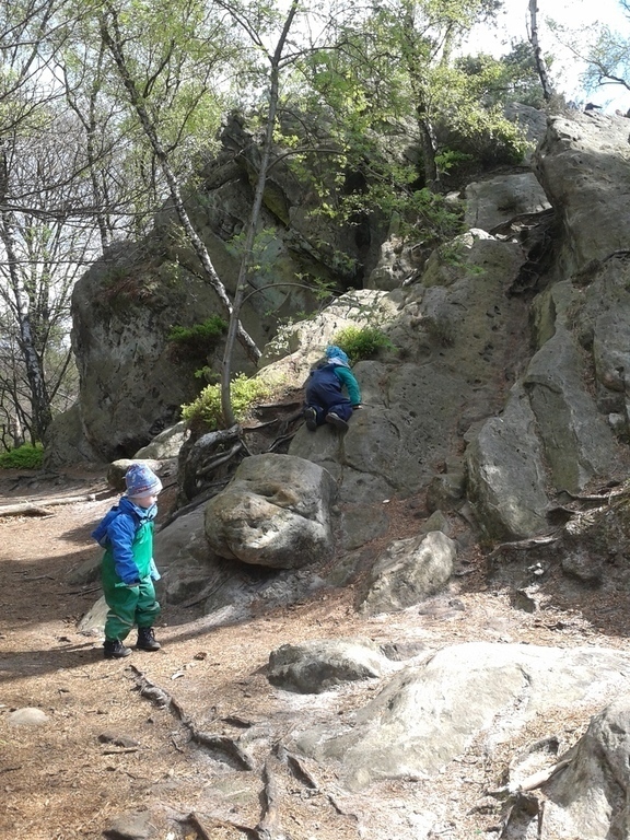 wandern in den "Dörenther Klippen"