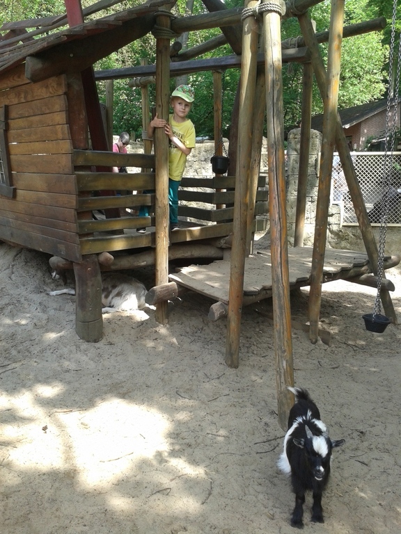 Streichelzoo & Spielplatz im Osnabrücker Zoo