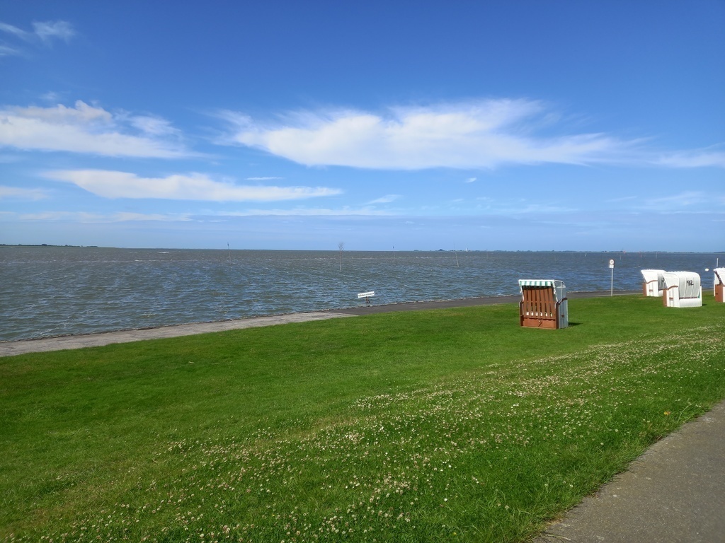 Part of the grass beach of Husum