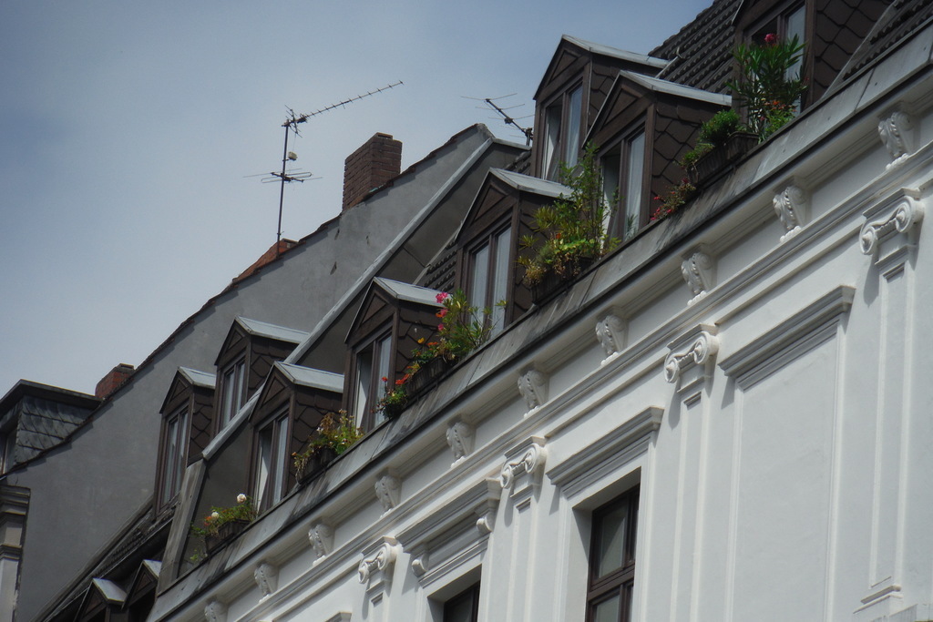 The "hanging gardens" under the roof...