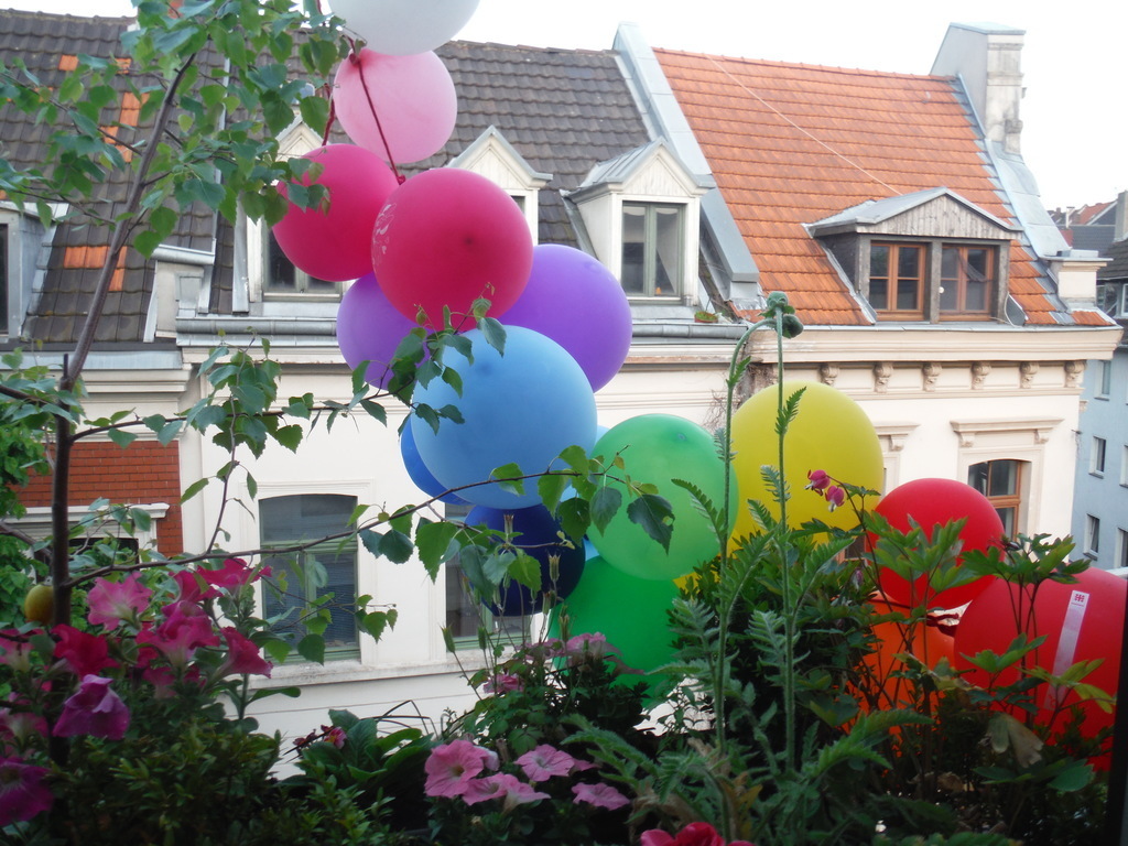 ...beautiful planted and decorated...