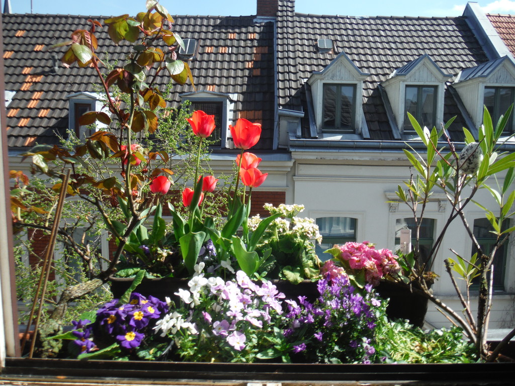 ...with a view to Kartäuserhof (south-east) ...