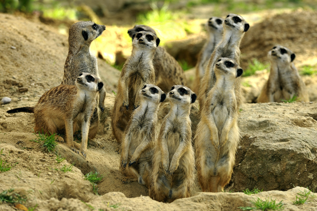 ..."You are wellcome!!" - when you arrive...