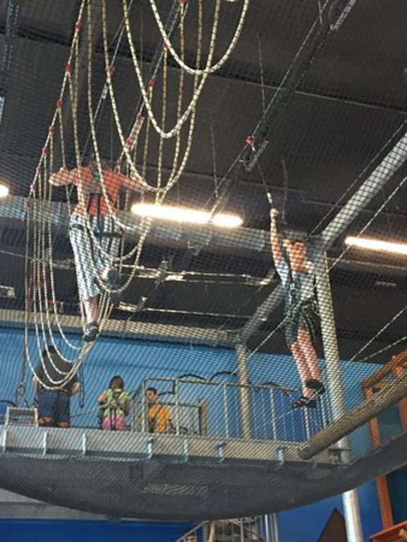 ...and to climb onto the exponates...