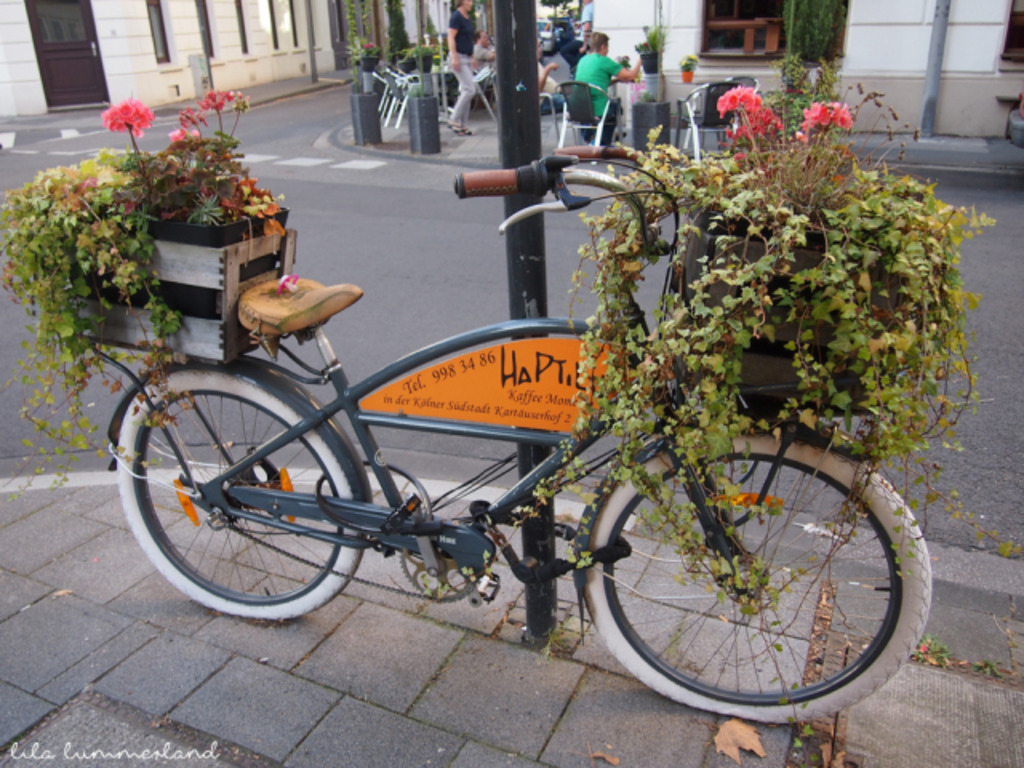 im "HaPTiLu - Café Momente"...