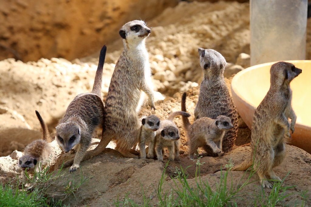 ..."Bye bye, till next time" - when you are leaving...