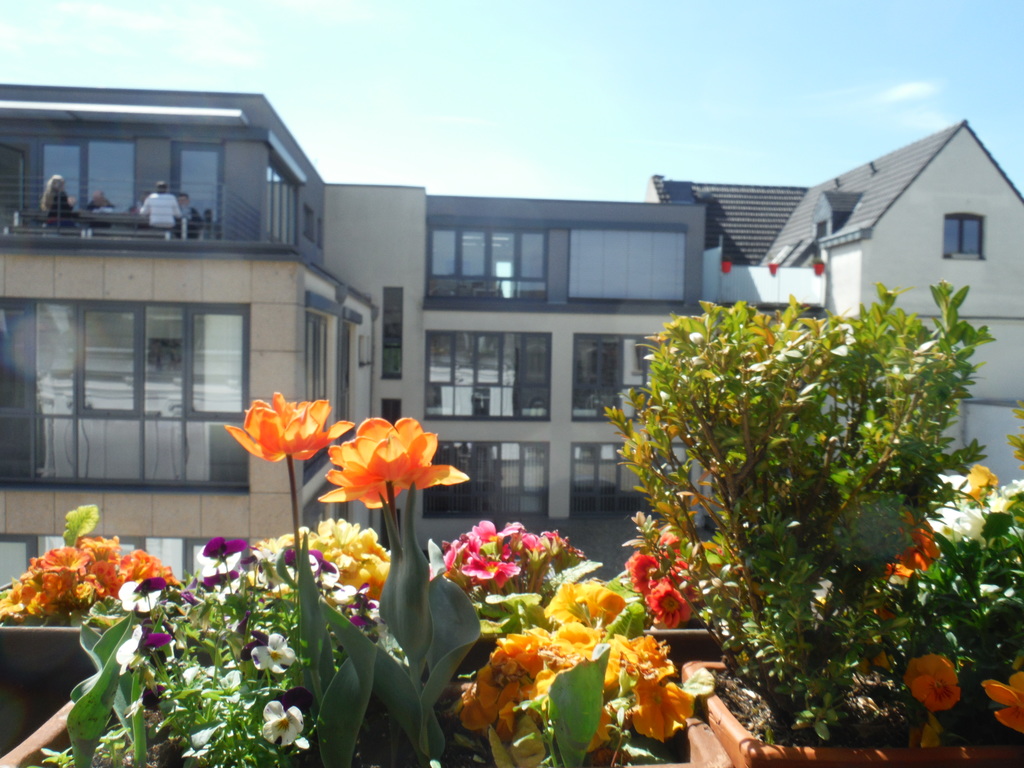 ...and to Kartäuserwall (south-west) ...