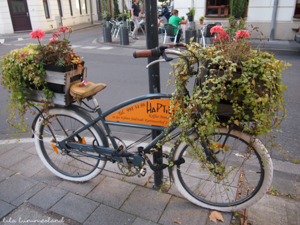 im "HaPTiLu - Café Momente"...