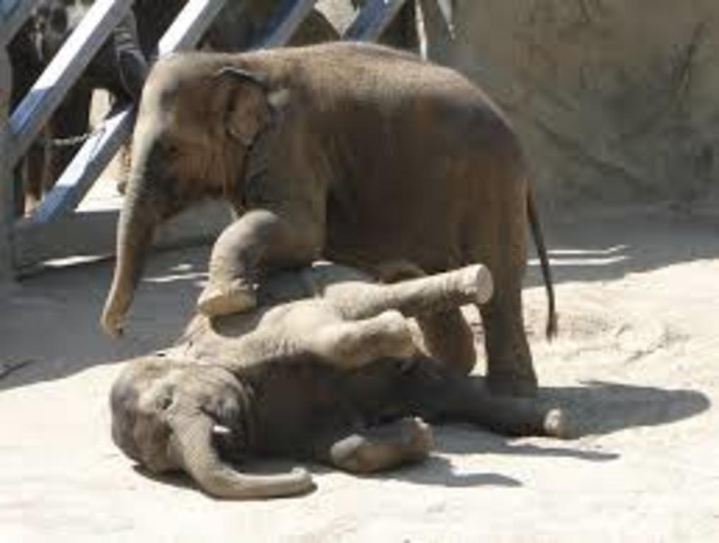 ...it's amazing!!!...