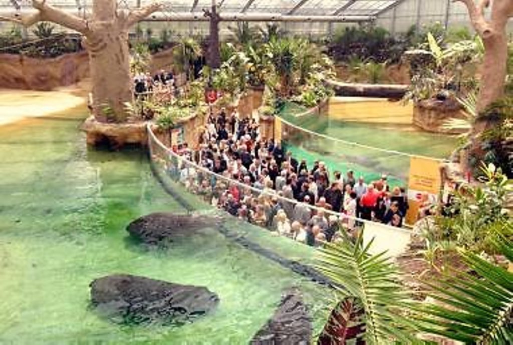 ...fantastic modern houses for thousend kinds of animals...