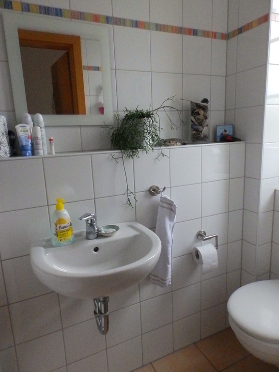 bathroom (main floor)