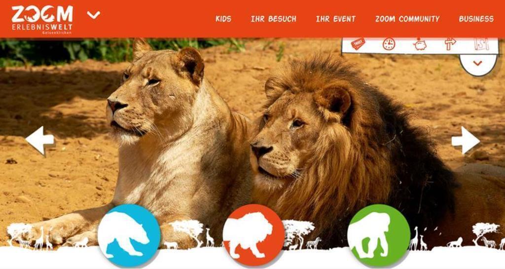 ZOOM Erlebniswelt - a very nice modern zoo, Gelsenkirchen (30 min by car)