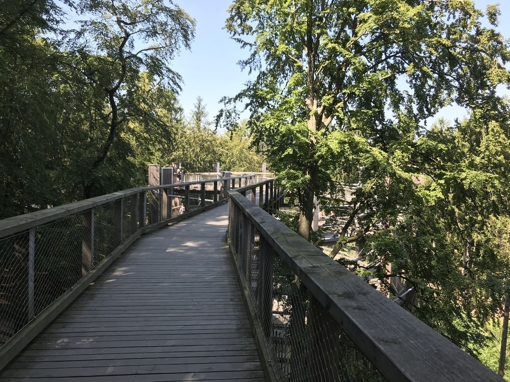 The treetop path Rügen / Der Baumwipfelpfad Rügen