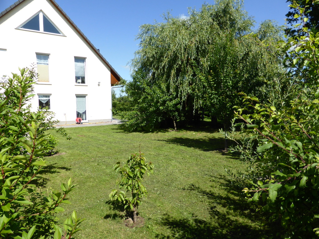 Part of the garden / Teil des Gartens