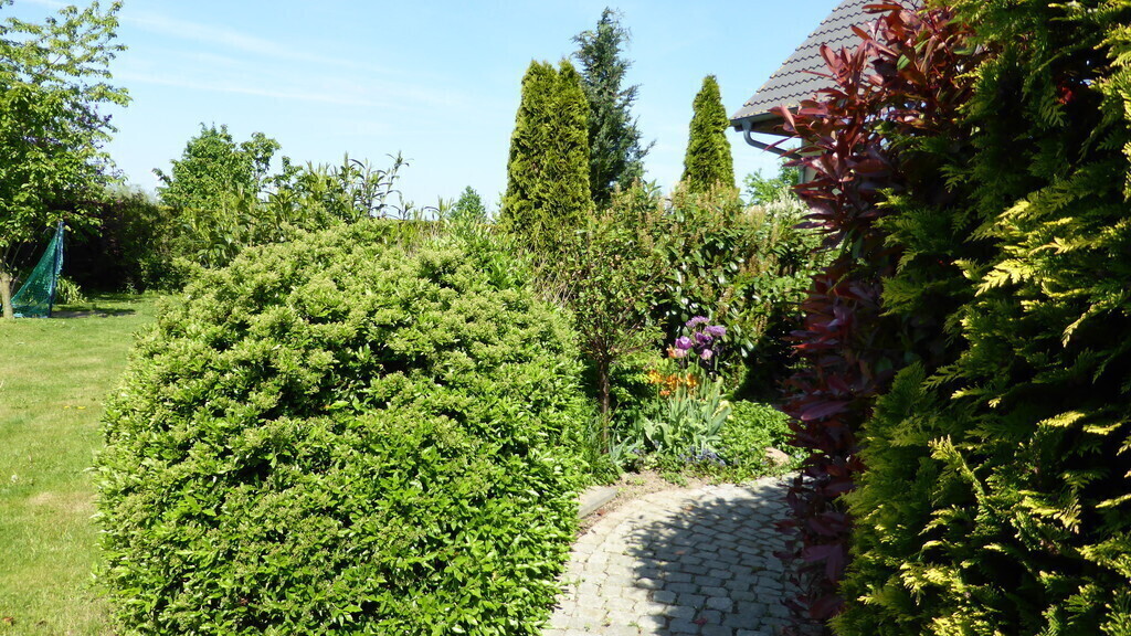 Footway to terrace / Weg zur Terrasse