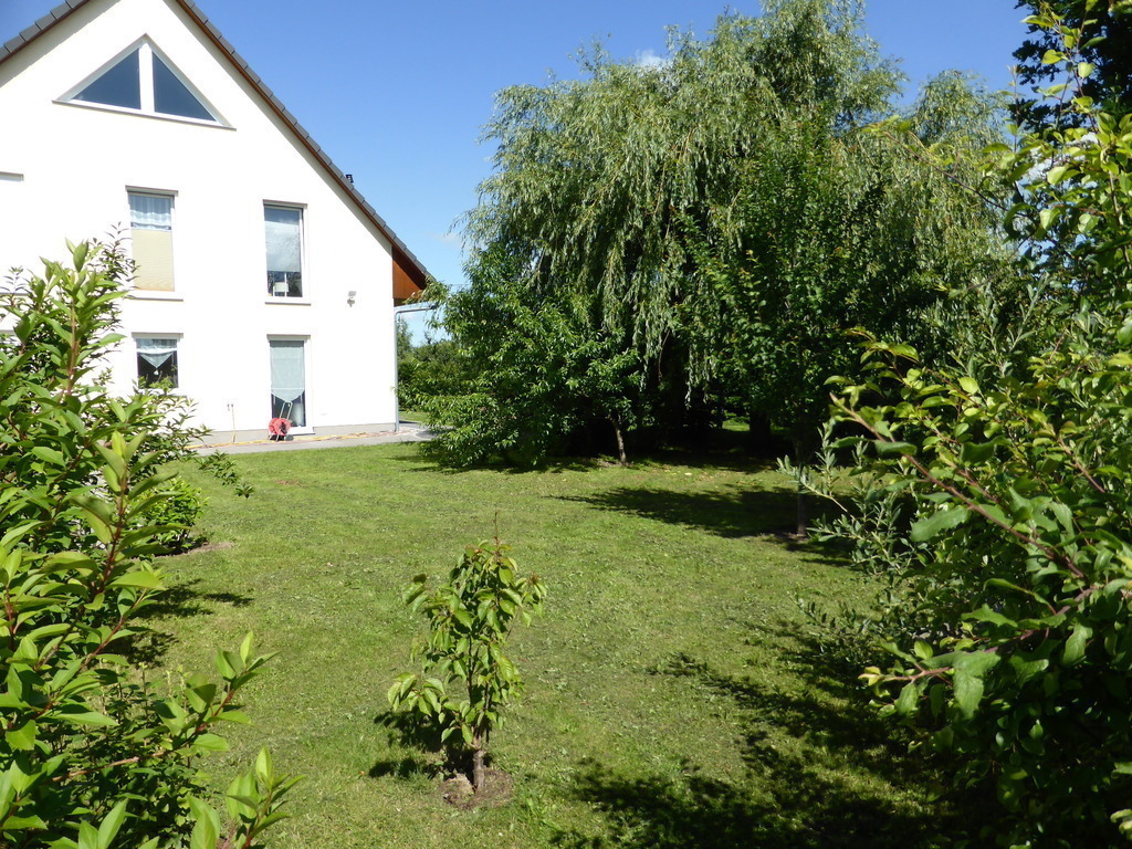 Part of the garden / Teil des Gartens