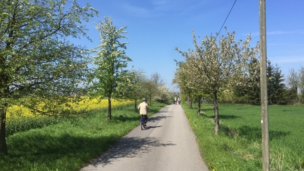 Trail from the forest back to the village / Wanderweg vom Wald zurück in's Dorf