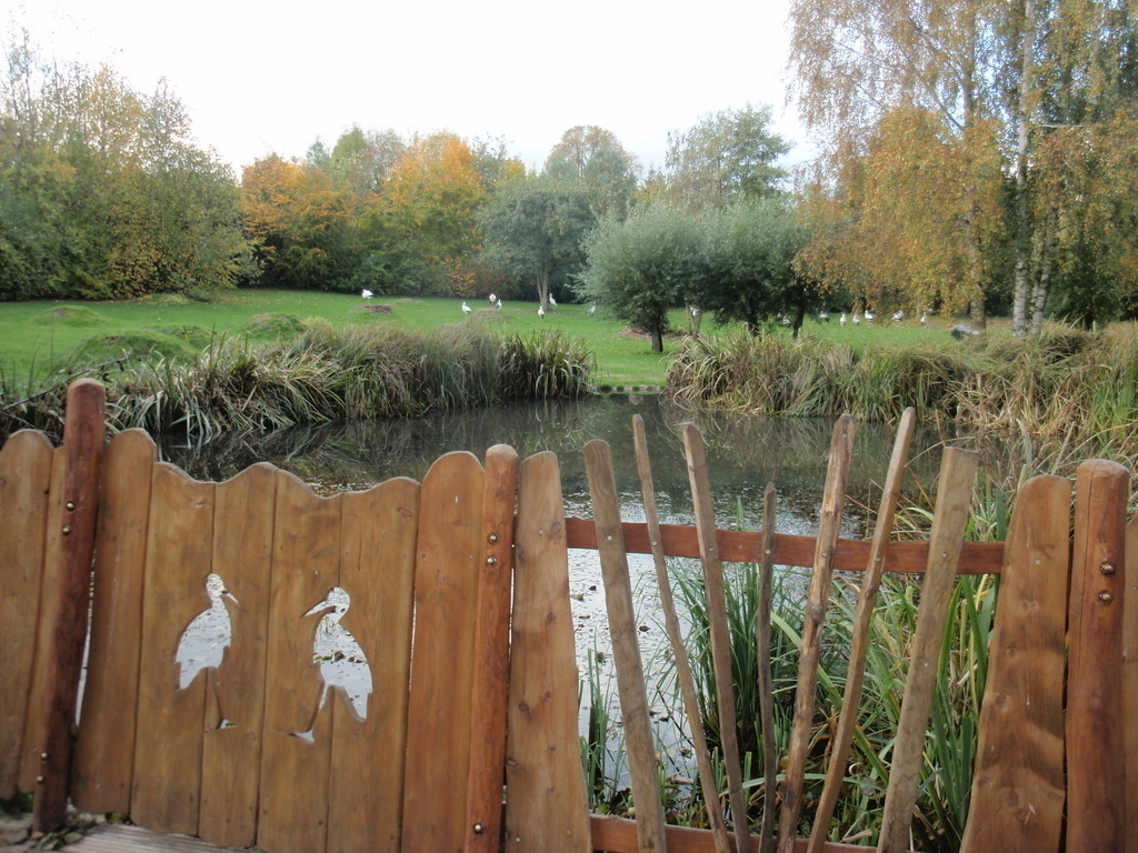 Bird park "Vogelpark Marlow"