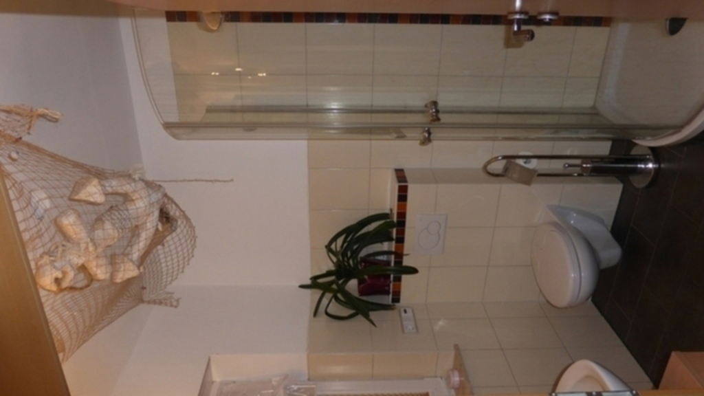 Toilet with shower / WC mit Dusche