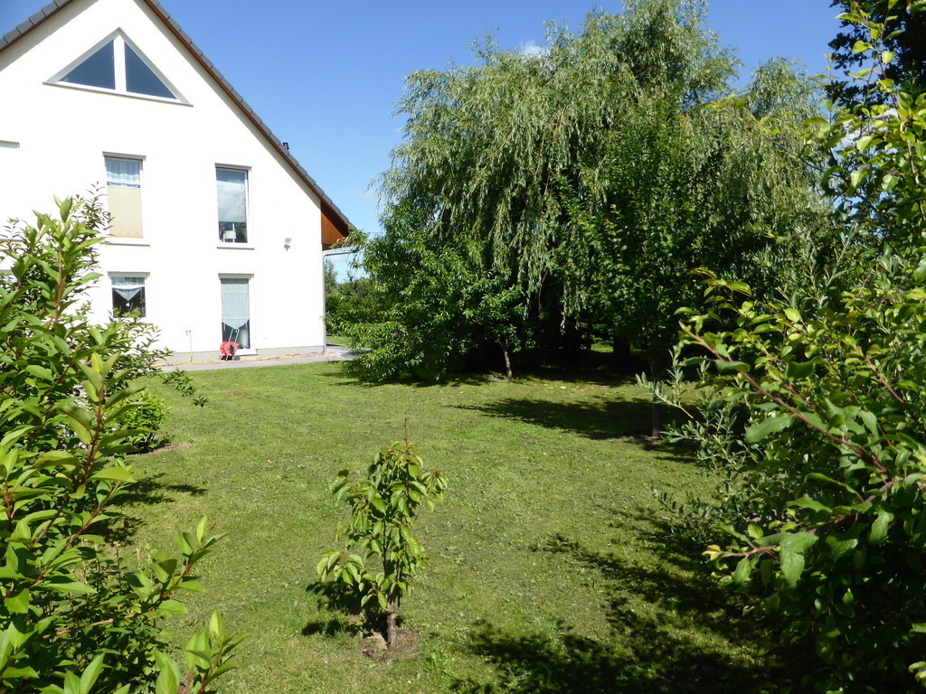 Part of the garden / Teil des Gartens