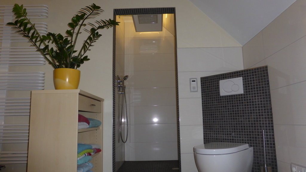 Shower and WC in the bathroom / Dusche und WC im Badezimmer