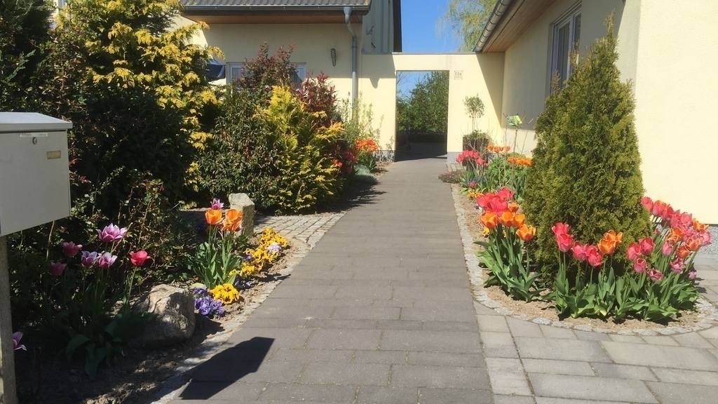 Footway to the entrance / Weg zum Eingang