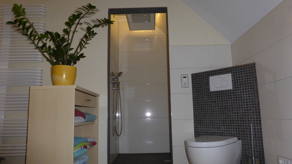 Shower and WC in the bathroom / Dusche und WC im Badezimmer