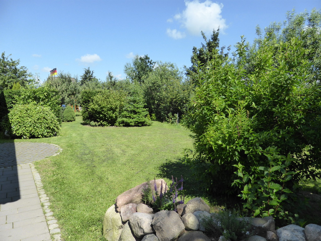 Part of the garden / Teil des Gartens