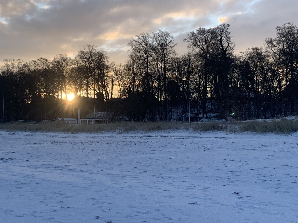 The Beach in winter