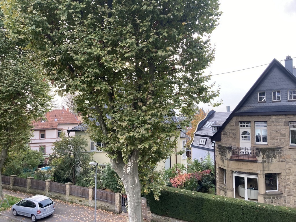 Residential area with nice neighborhood & view, directly at the mountain train & forest.