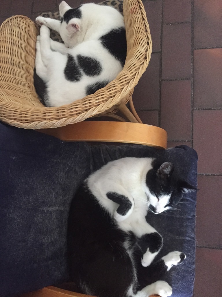 Arthur and Keysi having a nap